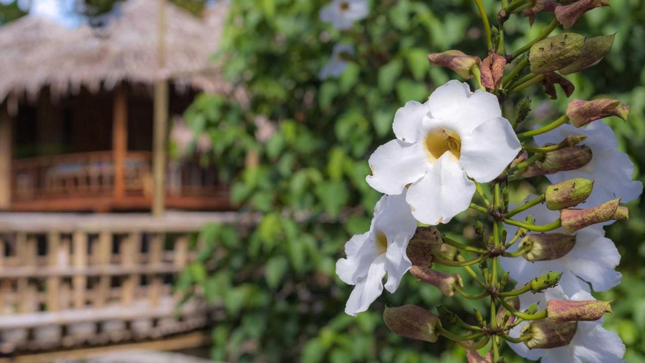 Onong'S Homestay & Cafe Tomohon Eksteriør billede